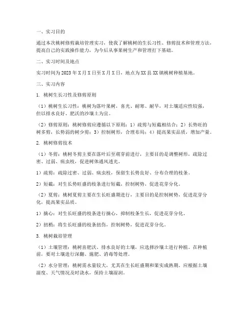 桃树修剪栽培管理实习报告