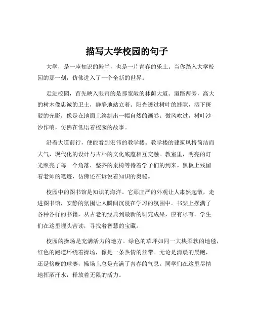 描写大学校园的句子