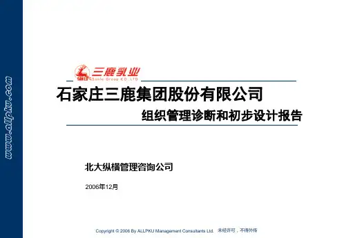 1三鹿集团组织管理诊断及初步设计报告(1)