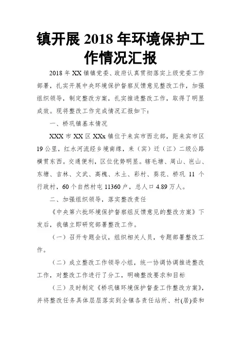 镇开展2018年环境保护工作情况汇报