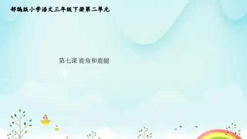 7《鹿角和鹿腿》 课件(共35张PPT).ppt