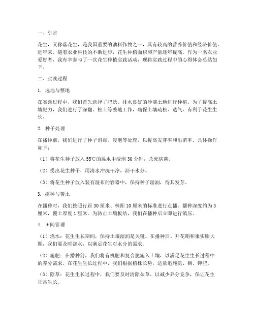 种花生实践心得体会总结