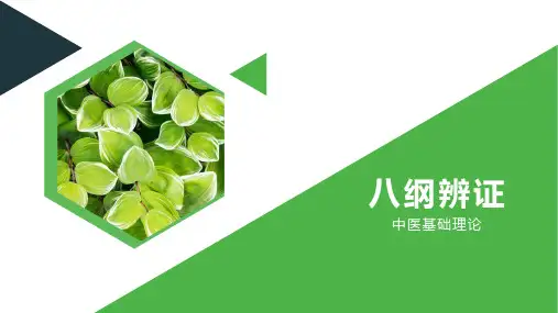 八纲辩证 