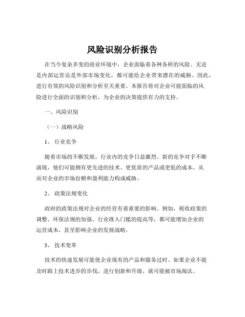 风险识别分析报告