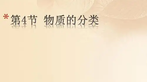九年级科学上册2.4物质的分类教学课件(新版)浙教版