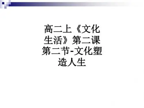 高二上《文化生活》第二课第二节-文化塑造人生ppt课件