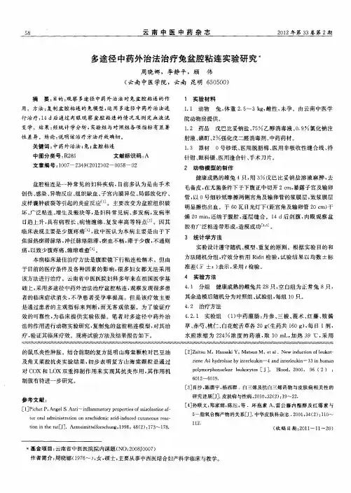 多途径中药外治法治疗兔盆腔粘连实验研究