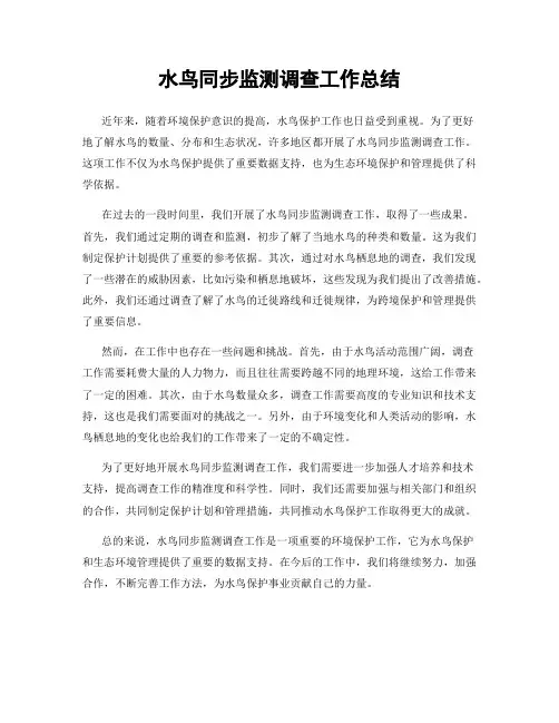 水鸟同步监测调查工作总结