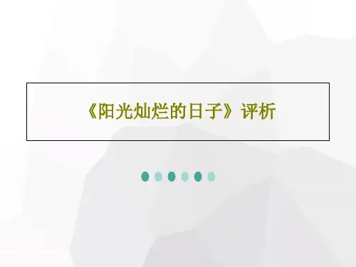 《阳光灿烂的日子》评析31页PPT