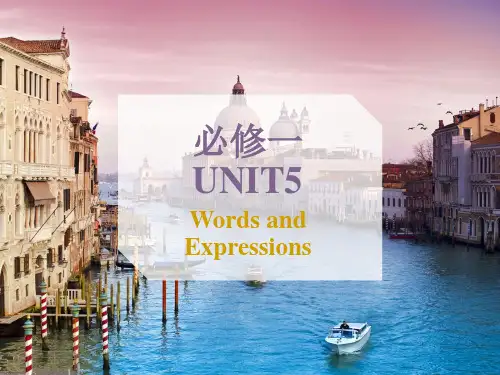 必修一unit5单词详解