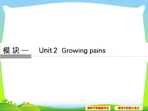 2021年高考英语(牛津译林教)大一轮复习(课件)第1部分 模块1 Unit 2.ppt