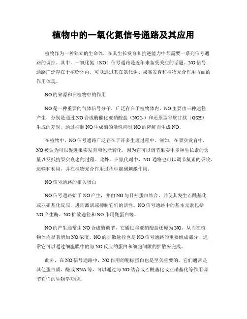 植物中的一氧化氮信号通路及其应用