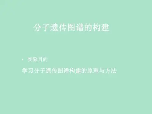 武大分子遗传图谱构建
