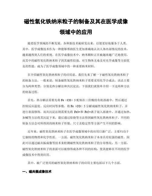 磁性氧化铁纳米粒子的制备及其在医学成像领域中的应用