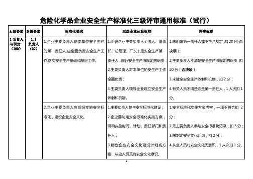 危险化学品企业安全生产标准化三级评审通用标准(试行)