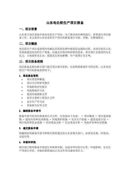 山东电化铝生产项目报备