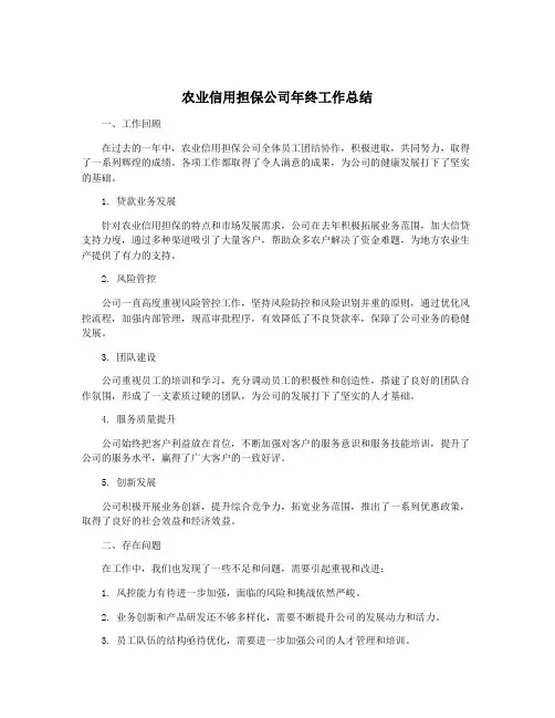 农业信用担保公司年终工作总结