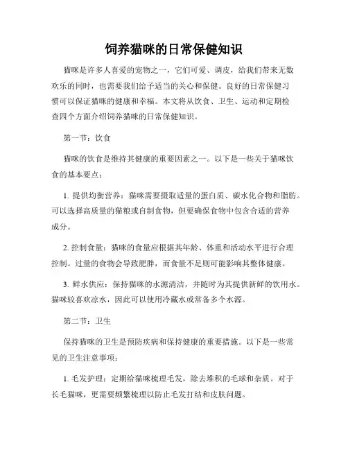 饲养猫咪的日常保健知识