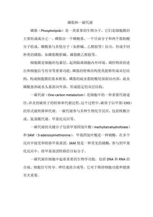 磷脂和一碳代谢