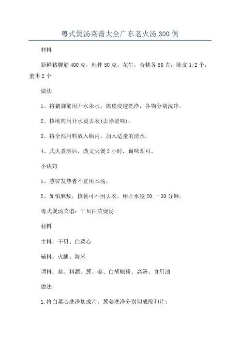 粤式煲汤菜谱大全广东老火汤300例