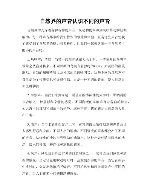 自然界的声音认识不同的声音