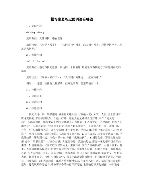 描写意思相近的词语有哪些
