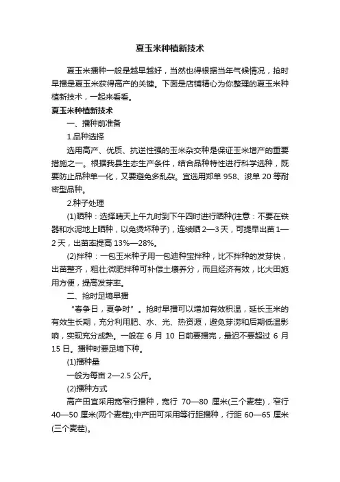 夏玉米种植新技术