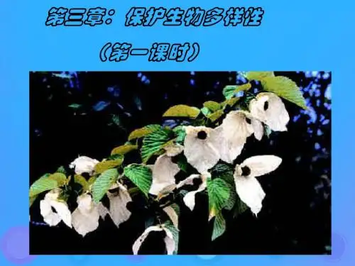 八年级生物上册6.3《保护生物的多样性》课件(34张)