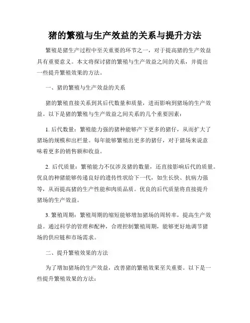 猪的繁殖与生产效益的关系与提升方法