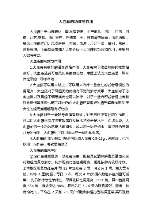 大血藤的功效与作用