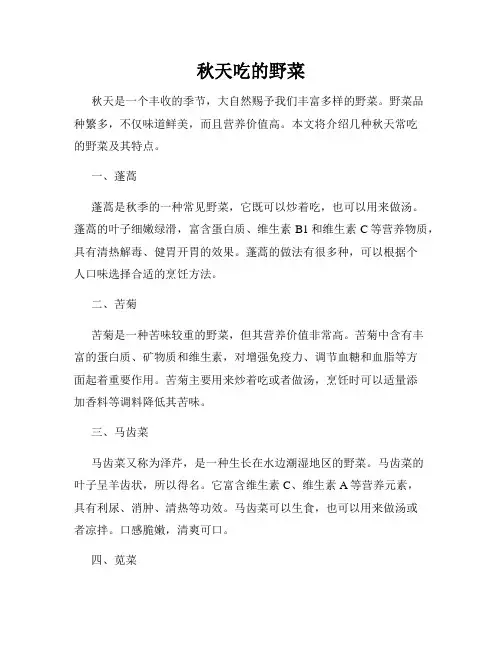 秋天吃的野菜