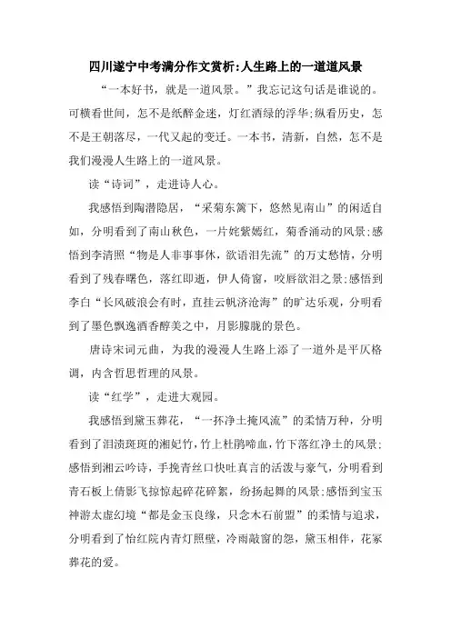 最新四川遂宁中考满分作文赏析-人生路上的一道道风景