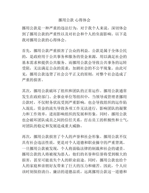 挪用公款 心得体会