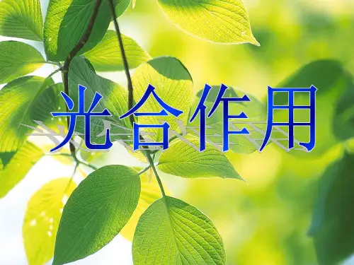 光合作用完整ppt课件精选ppt