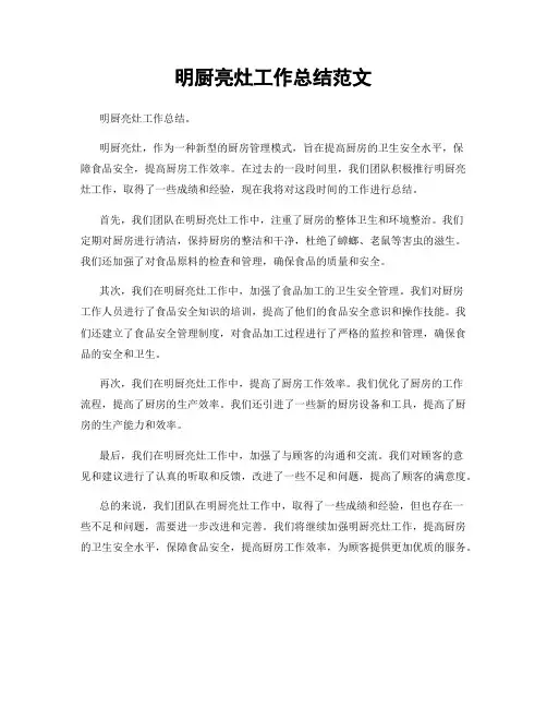 明厨亮灶工作总结范文