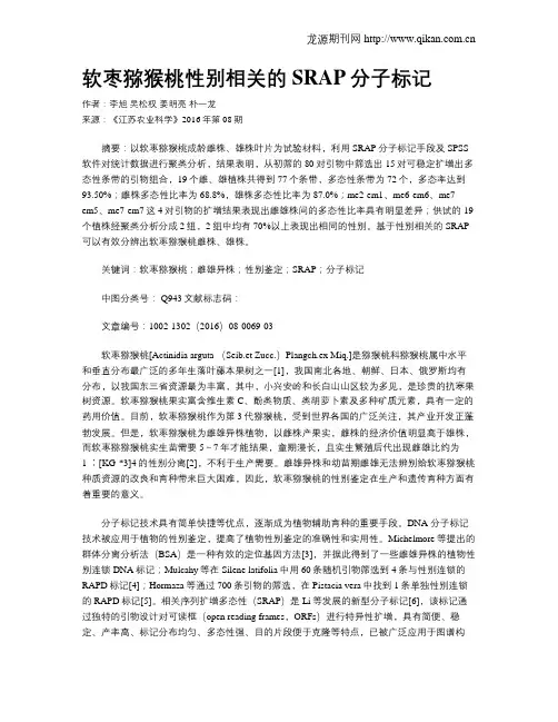 软枣猕猴桃性别相关的SRAP分子标记