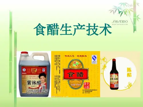 最新食醋生产加工技术