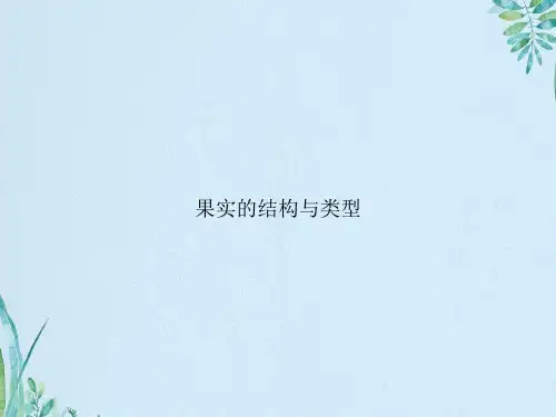 果实的结构与类型