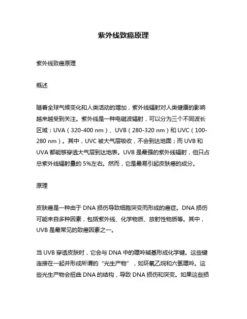 紫外线致癌原理
