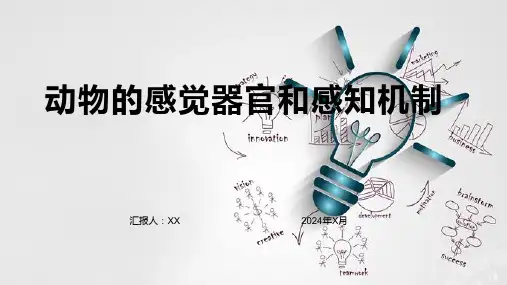动物的感觉器官和感知机制