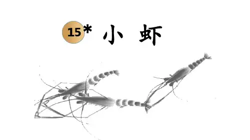  统编人教版一年级语文下册《小虾》优质PPT课件