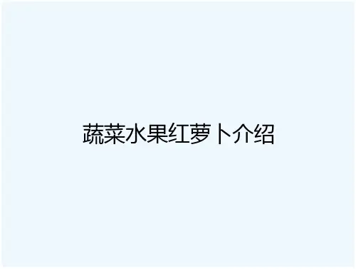 45蔬菜水果红萝卜介绍