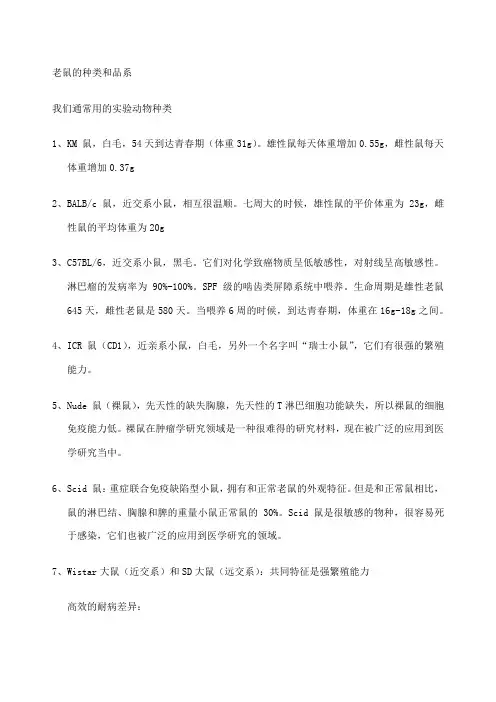 老鼠的分型