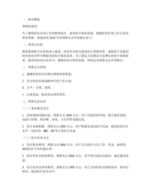 医院预算支出申请报告