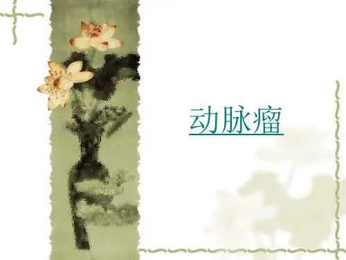 动脉瘤 PPT课件