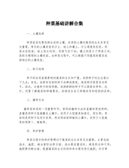 种菜基础讲解合集