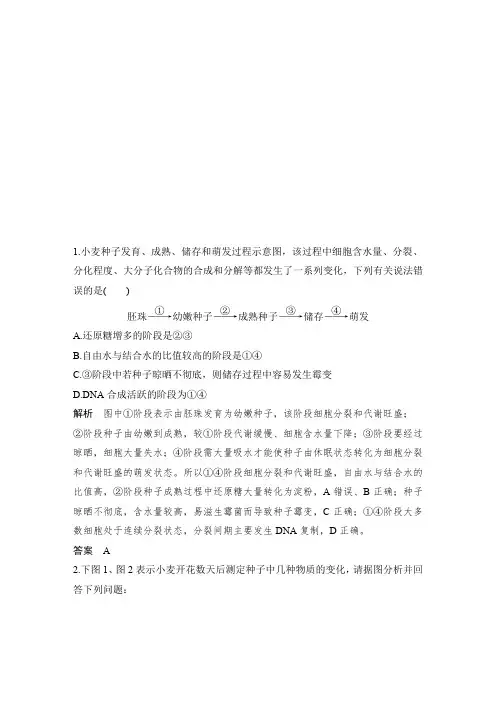探究种子形成与萌发过程中的物质变化