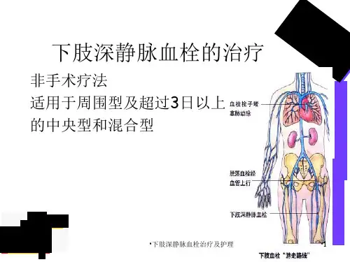 下肢深静脉血栓治疗及护理课件