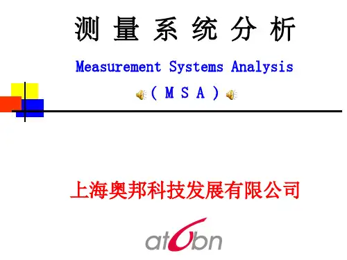 MSA[1]控 制 计 划