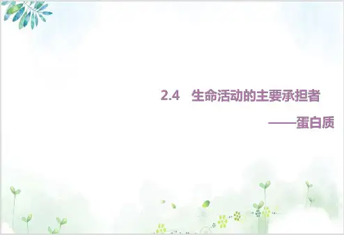 高中生物必修一课件--生命活动的主要承担者—蛋白质(56张)-PPT优秀课件